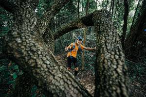 BIB: 
                            <button type="button" onclick="openModal(25391899)" class="btn btn-primary btn-sm float-right btn-popup" data-toggle="modal" data-target=".modal-high-quality">
                        <i class="fas fa-shopping-cart"></i> Add to Cart
                    </button>
                                            <button type="button" onclick="isThisMe(25391899, true)" class="btn btn-success btn-sm float-right btn-popup btn-isme hidden" data-toggle="tooltip" data-placement="bottom" title="นี่คือรูปของคุณใช่ไหม คลิกที่นี่เพื่อเอาเข้าอัลบั้ม">
                        <i class="fas fa-plus"></i> Add to album
                    </button>
                    <button type="button" onclick="isThisMe(25391899, false)" class="btn btn-warning btn-sm float-right btn-popup btn-isnotme hidden">
                        <i class="fas fa-ban"></i> Remove from album
                    </button>